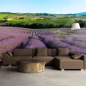 Φωτοταπετσαρία - Lavender fields 200x154 εκ