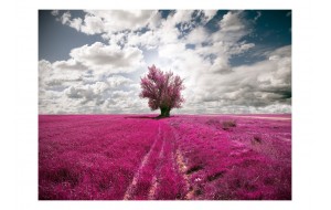Φωτοταπετσαρία - Magenta meadow 200x154 εκ