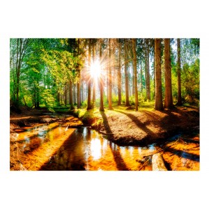 Φωτοταπετσαρία - Marvelous Forest