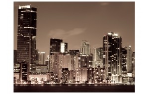 Φωτοταπετσαρία - Night life in Miami 200x154 εκ