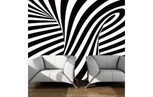 Φωτοταπετσαρία - optical art: black and white 200x154 εκ