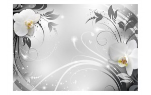 Φωτοταπετσαρία - Orchids on silver