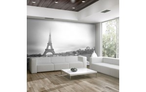 Φωτοταπετσαρία - Paris: Eiffel Tower 200x154 εκ