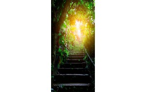 Φωτοταπετσαρία πόρτας - Photo wallpaper - Stairs in the urban jungle I 70X210 εκ