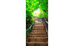 Φωτοταπετσαρία πόρτας - Photo wallpaper – Stairs from nature I 70X210 εκ