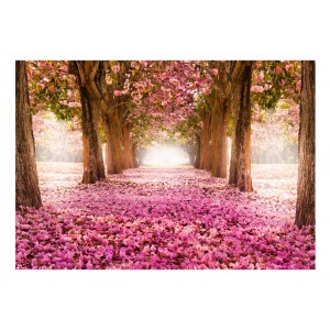 Φωτοταπετσαρία - Pink grove