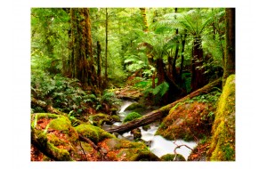 Φωτοταπετσαρία - Rainforest 200x154 εκ
