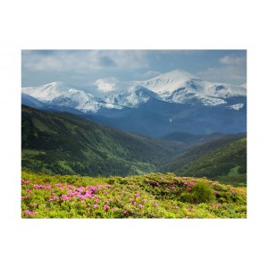 Φωτοταπετσαρία - Spring mountain landscape 200x154 εκ