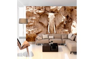 Φωτοταπετσαρία - Stone Elephant (South Africa)