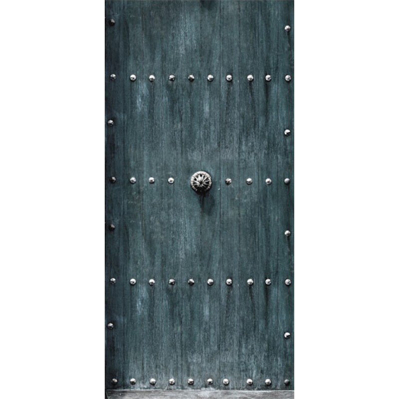 Φωτοταπετσαρία πόρτας - Stylish Door 70X210 εκ