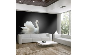 Φωτοταπετσαρία - swan (black and white) 200x154 εκ