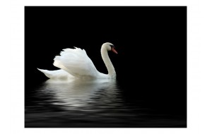 Φωτοταπετσαρία - swan (black and white) 200x154 εκ