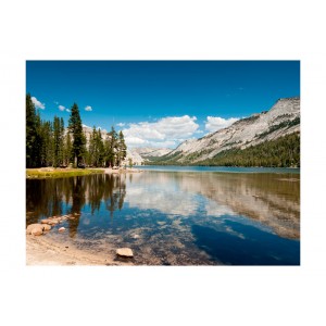 Φωτοταπετσαρία - Tenaya Lake - Yosemite National Park 200x154 εκ