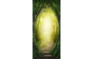 Φωτοταπετσαρία πόρτας - The Forest of Fantasy 70X210 εκ