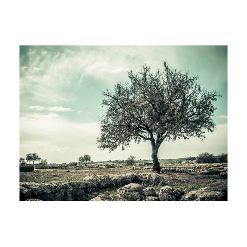 Φωτοταπετσαρία - tree - vintage 200x154 εκ