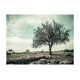 Φωτοταπετσαρία - tree - vintage 200x154 εκ