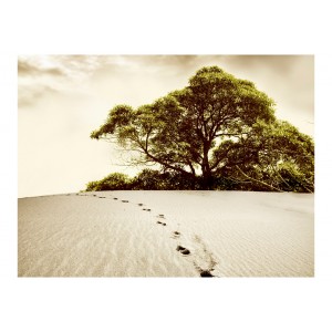 Φωτοταπετσαρία - Tree in the desert 200x154 εκ