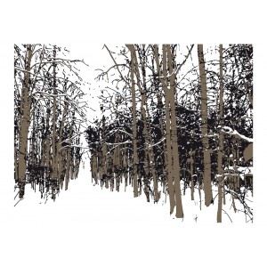Φωτοταπετσαρία - trees - autumn 200x154 εκ