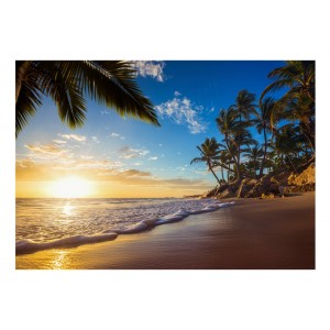 Φωτοταπετσαρία - Tropical Beach