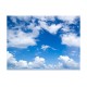 Φωτοταπετσαρία - Under the sky 200x154 εκ