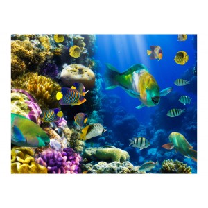 Φωτοταπετσαρία - Underwater paradise 200x154 εκ