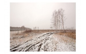 Φωτοταπετσαρία - Winter field 200x154 εκ