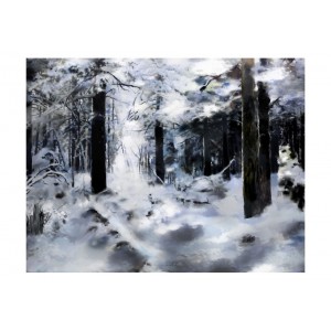Φωτοταπετσαρία - Winter Forest