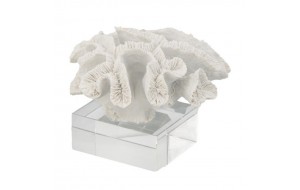 Διακοσμητικό άσπρο κοράλλι σε γυάλινη βάση 22.9x21.6x16εκ 