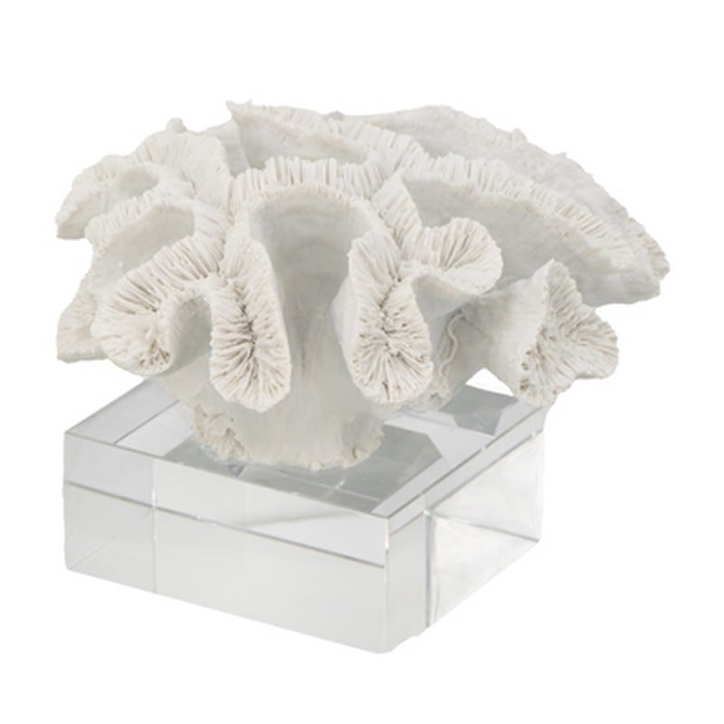 Διακοσμητικό άσπρο κοράλλι σε γυάλινη βάση 22.9x21.6x16εκ