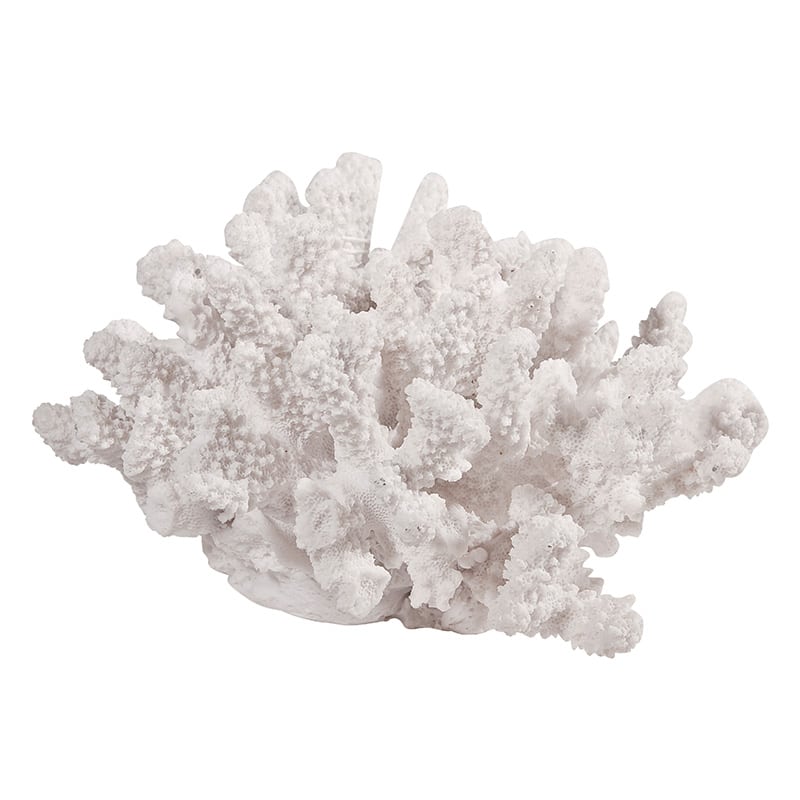 Λευκό διακοσμητικό κοράλλι 21x19x12 εκ