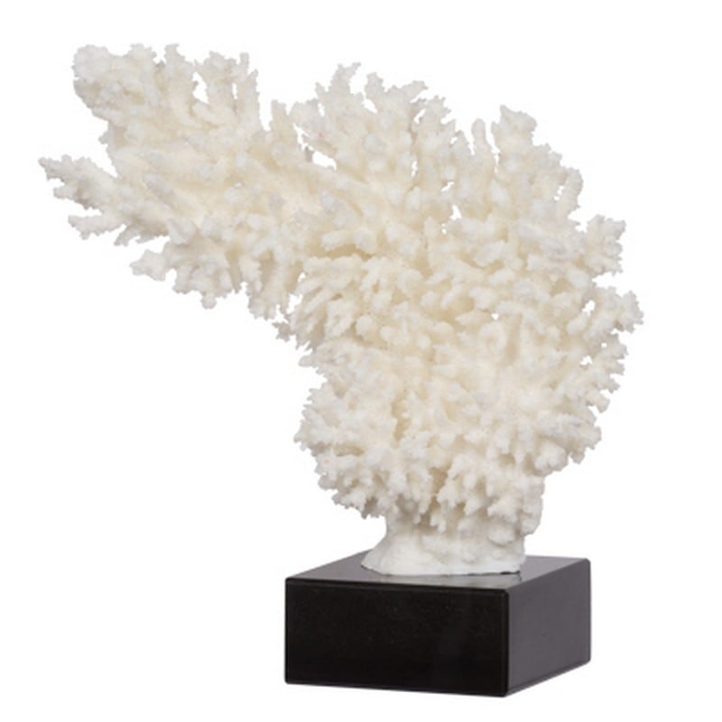 Διακοσμητικό κοράλι  λευκού χρώματος σε μαρμάρινη μαύρη βάση 29x11x29 εκ | Echo Deco