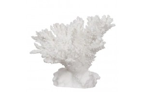 Κοράλλι διακοσμητικό λευκό 29x26x24 εκ