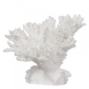Κοράλλι διακοσμητικό λευκό 29x26x24 εκ