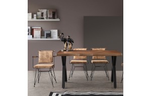 Penyez μεταλλική καρέκλα με ξύλινα μπράτσα με βελουδινο κάθισμα σε καφέ χρώμα 54x50x80 εκ