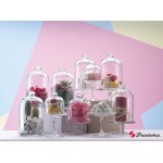 Mini Patisserie γυάλινη βάση παρουσίασης με καπάκι 10x10x18.7 εκ