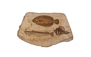 Ξύλινο διακοσμητικό επιτραπέζιο με σχέδιο ψάρια σετ των έξι τεμαχίων