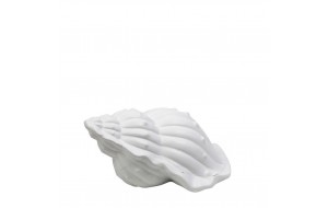 Επιτραπέζιο διακοσμητικό κοχύλι σε λευκό χρώμα 31x21x16 εκ