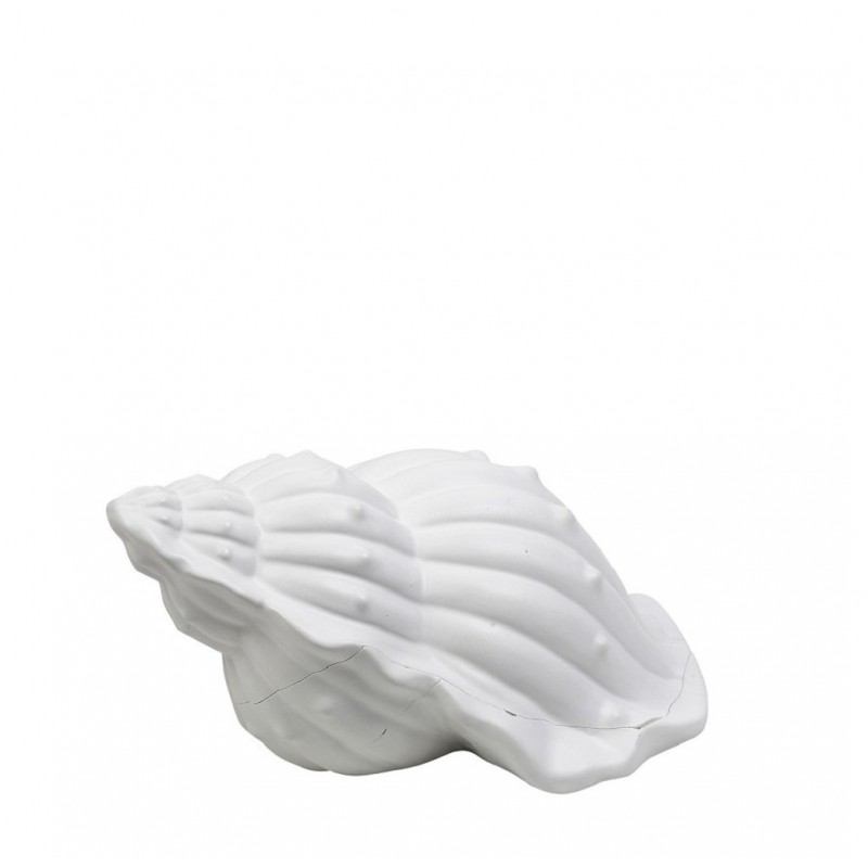 Επιτραπέζιο διακοσμητικό κοχύλι σε λευκό χρώμα 31x21x16 εκ