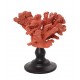 Επιτραπέζιο διακοσμητικό κόκκινο κοράλλι από πολυρέζιν 14x10x15 εκ