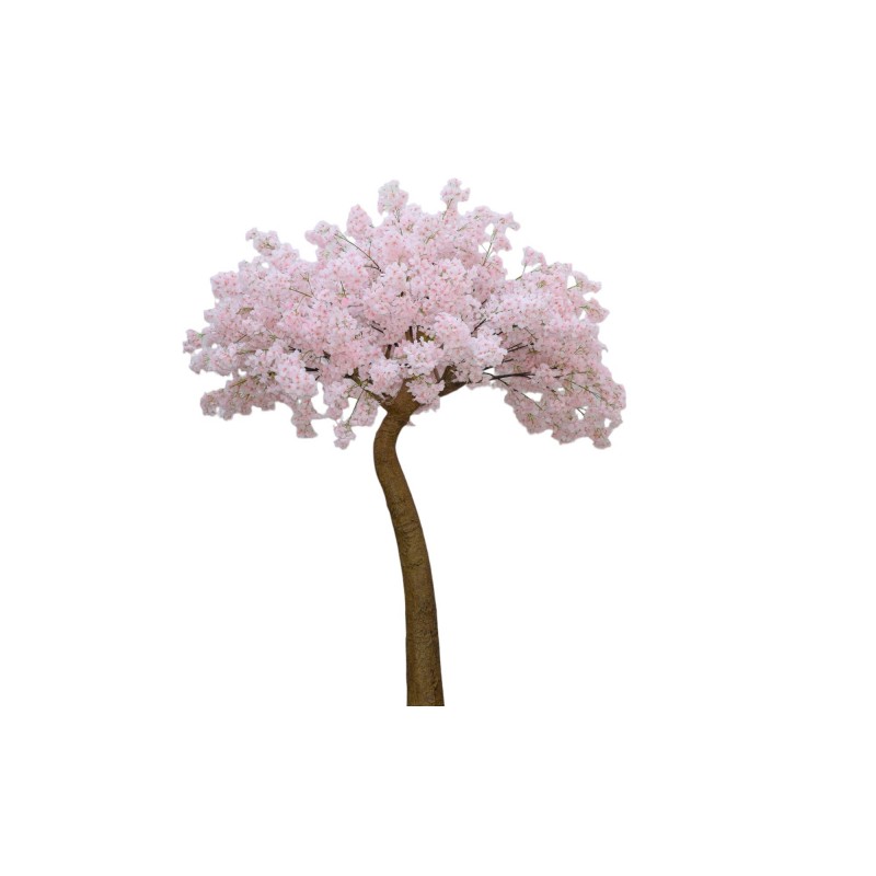 Cherry Blossom Pink διακοσμητικό δέντρο κερασιάς σε ροζ απόχρωση 300 εκ