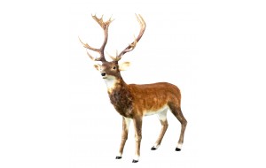 STILL REINDEER ΜΕ ΓΟΥΝΑ 147*180CM LIGHT BROWN