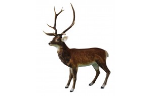 ANIMATED RED DEER ΜΕ ΓΟΥΝΑ  182CM LIGHT BROWN
