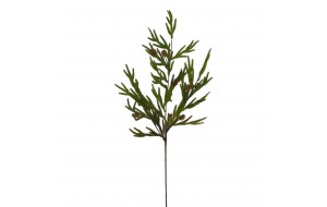 ΚΛΑΔΙ ΕΛΑΤΟ SOFT NEEDLE 91CM GREEN