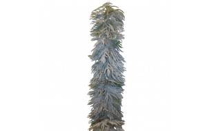 ΓΙΡΛΑΝΤΑ PE PINES/RATTAN SMALL LEAVES 200CM 107 TIPS FLOCKED