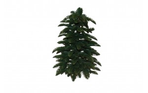 Mini Fir δεντράκι από PE και PVC σε πράσινη απόχρωση για Χριστουγεννιάτικη Διακοσμητική σύνθεση 55 εκ Mini Fir δεντράκι από PE και PVC σε πράσινη απόχρωση για Χριστουγεννιάτικη Διακοσμητική σύνθεση 55 εκ