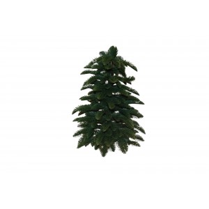 Mini Fir δεντράκι από PE και PVC σε πράσινη απόχρωση για Χριστουγεννιάτικη Διακοσμητική σύνθεση 55 εκ Mini Fir δεντράκι από PE και PVC σε πράσινη απόχρωση για Χριστουγεννιάτικη Διακοσμητική σύνθεση 55 εκ
