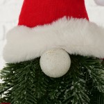 Χριστουγεννιάτικο διακοσμητικό με φιγούρα Άγιου Βασίλη με κλαδιά δέντρου 24x20x47 εκ