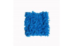 Super Moss πάνελ με τεχνητή φυλλωσιά σε μπλε χρώμα 25x25 εκ