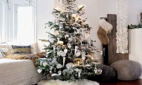 Χριστουγεννιάτικο δέντρο και πως να το επιλεξεις σε 6 tips