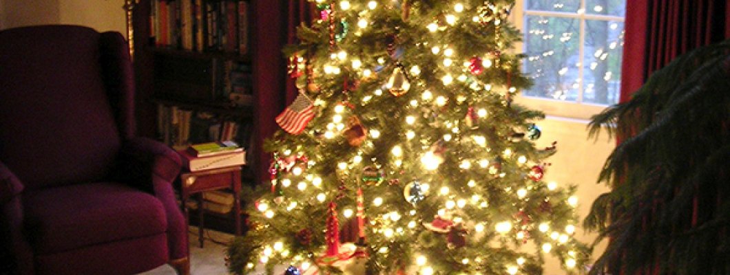 Πώς να επιλέξετε το Χριστουγεννιάτικο Δέντρο σας